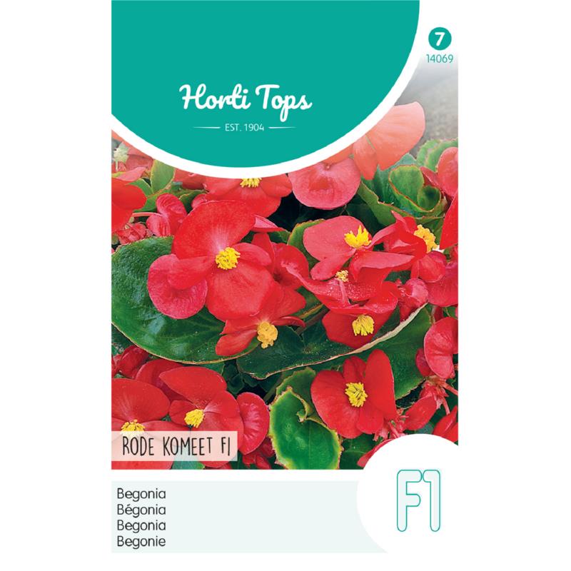 Horti Tops® Begonia Semp. F1 Hybrid  Red Comet