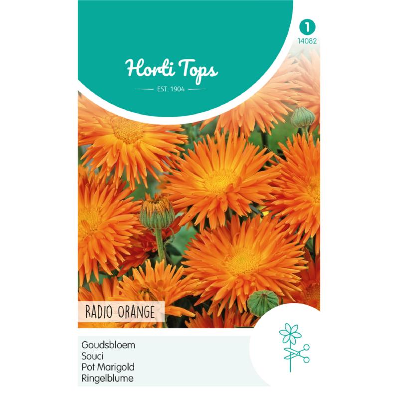 HT Calendula, Goudsbloem Radio Orange