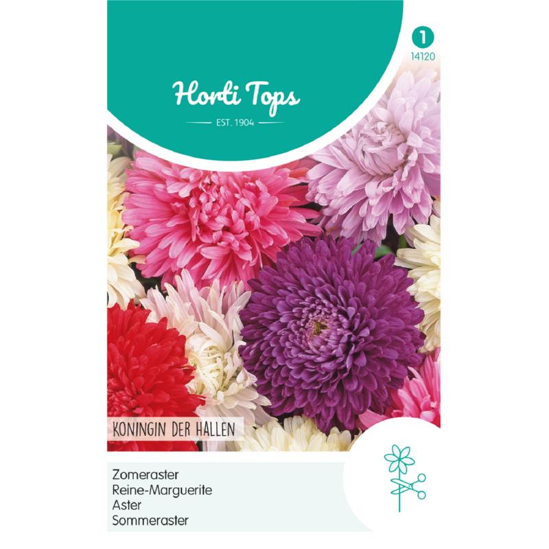 HT Callistephus, Zomeraster Koningin der Hallen gemengd