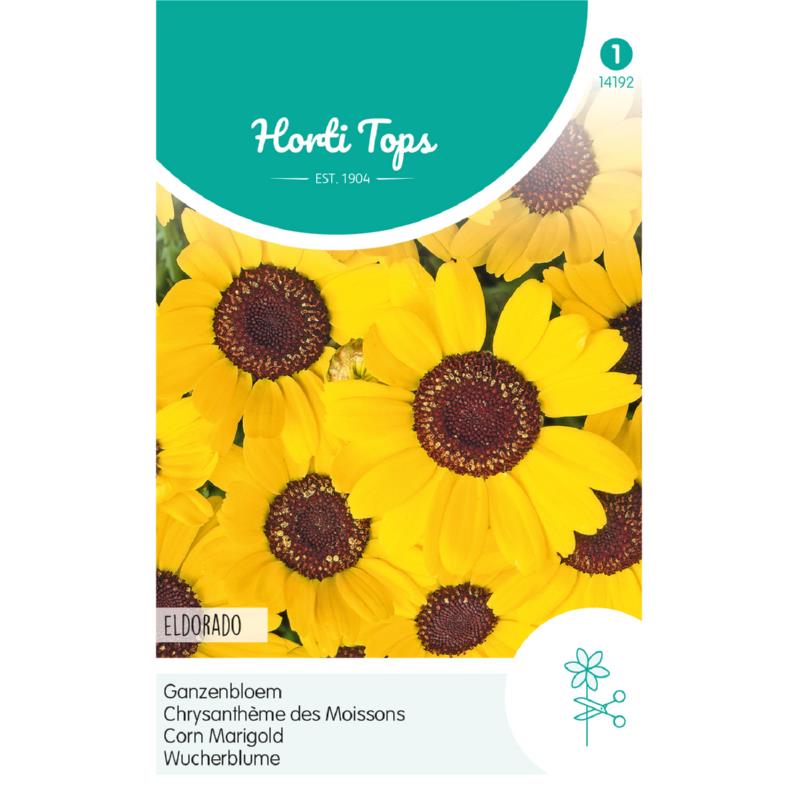 HT Chrysanthemum, Ganzebloem Eldorado Geel