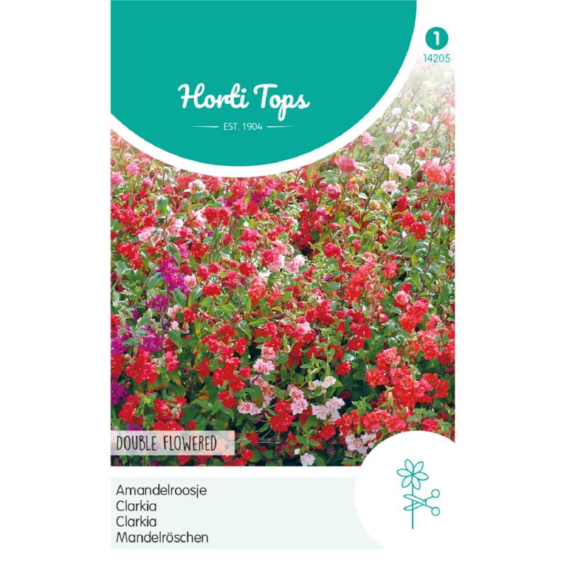 Horti Tops® Clarkia Elegans Double Mixed