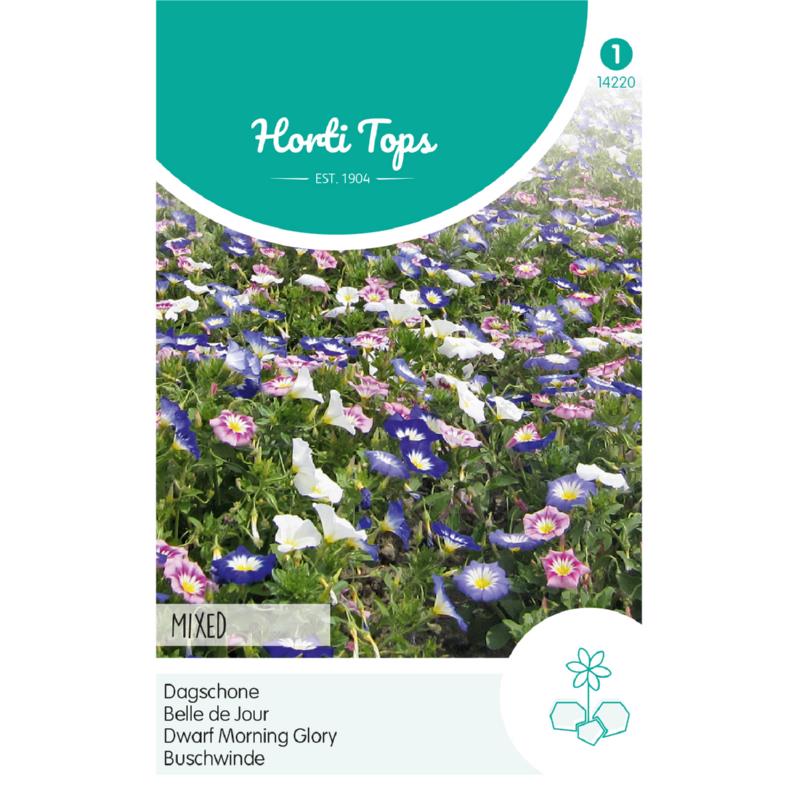 Horti Tops® Convolvulus Tricolor Mixed