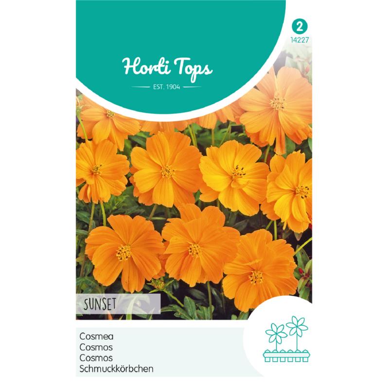Horti Tops® Cosmos Sulphureus Sunset Orange