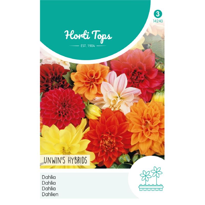 Horti Tops® Dahlia var. Unwins Hybrids mixed