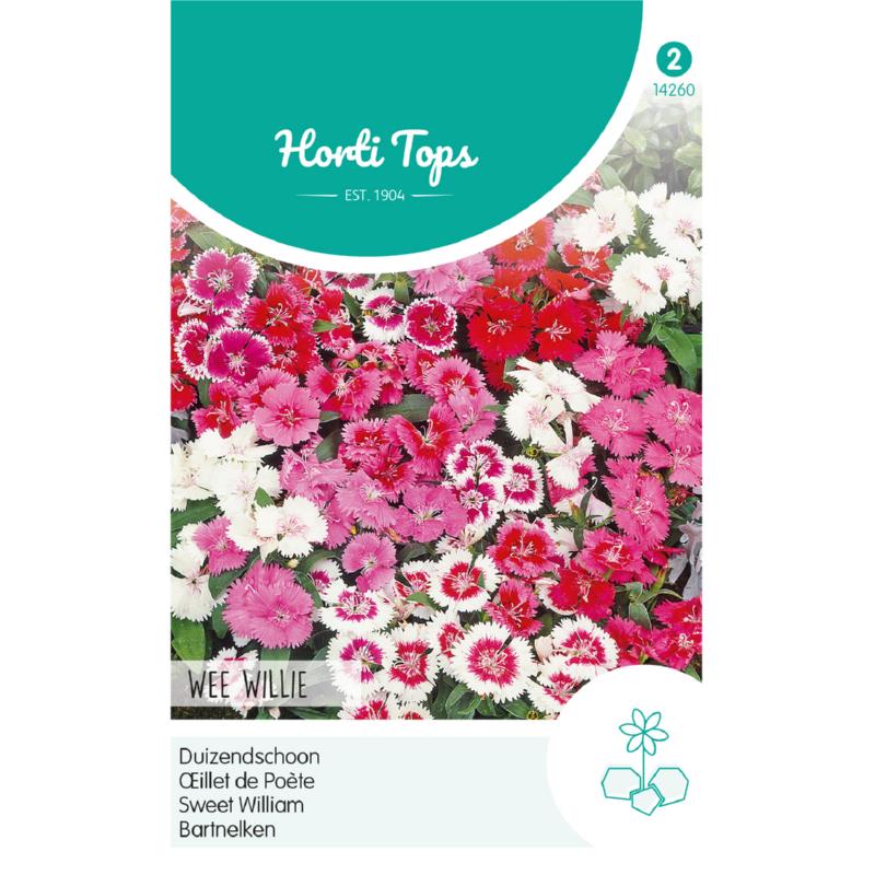 Horti Tops® Dianthus Barbatus Wee Willie Mixed