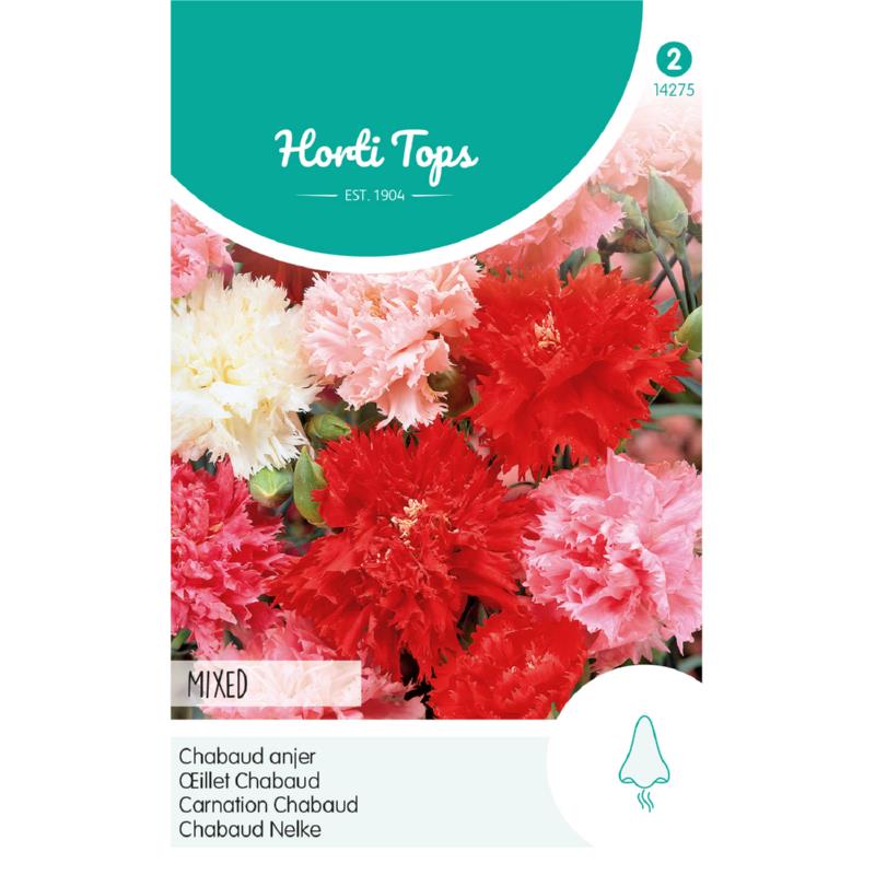 HT Dianthus, Chabaud Anjer gemengd