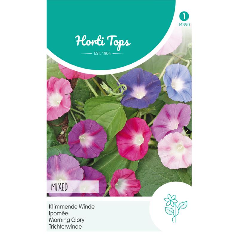 HT Ipomoea, Klimmende Winde gemengd