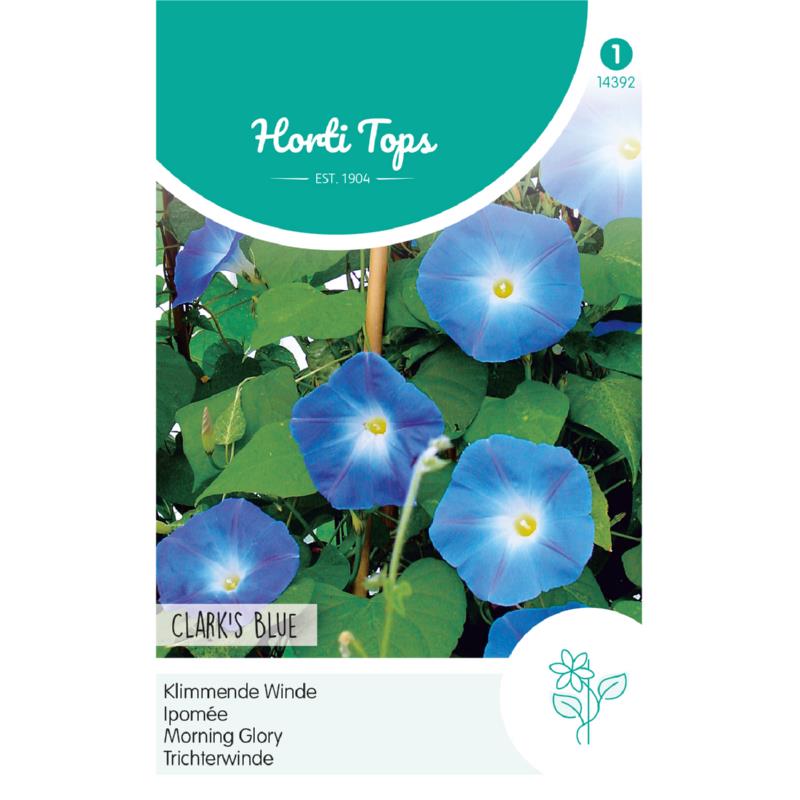 Horti Tops® Ipomoea rubro coerulea Heavenly blue