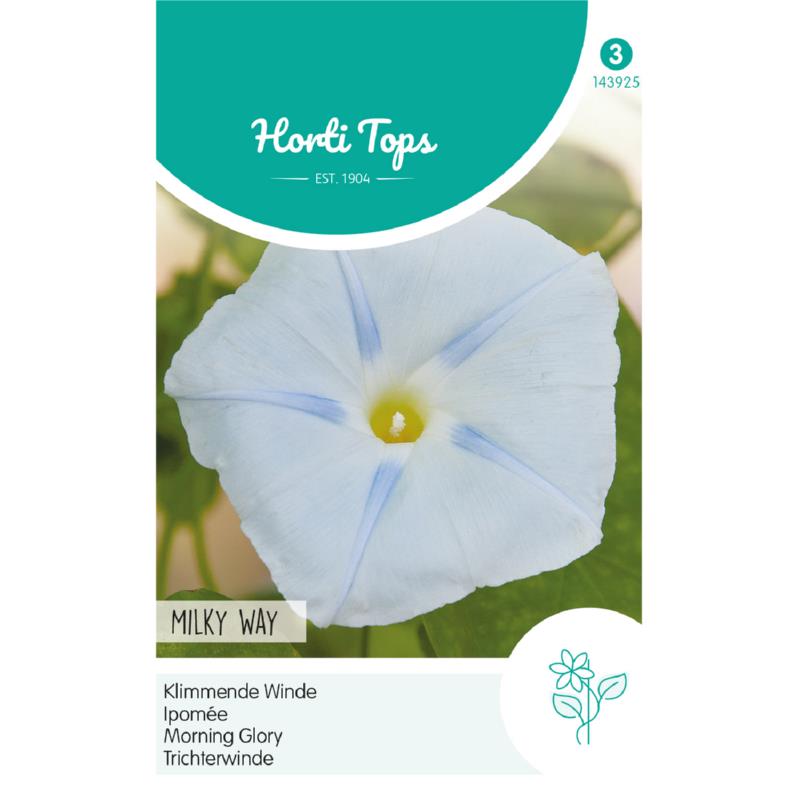 HT Ipomoea, Klimmende Winde Milky Way
