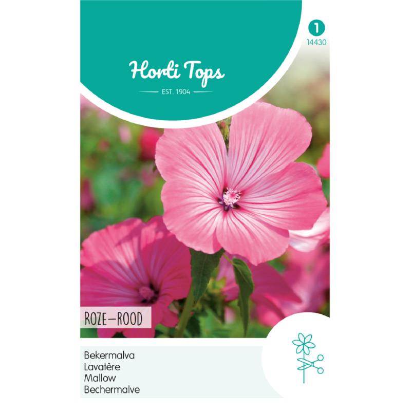 Horti Tops® Lavatera Trimestris Loveliness, Rose-Pink