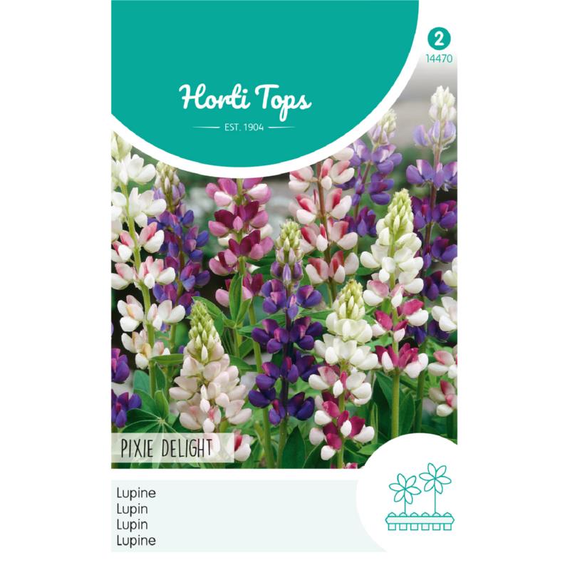 HT Lupinus, Lupine Pixie Delight gemengd