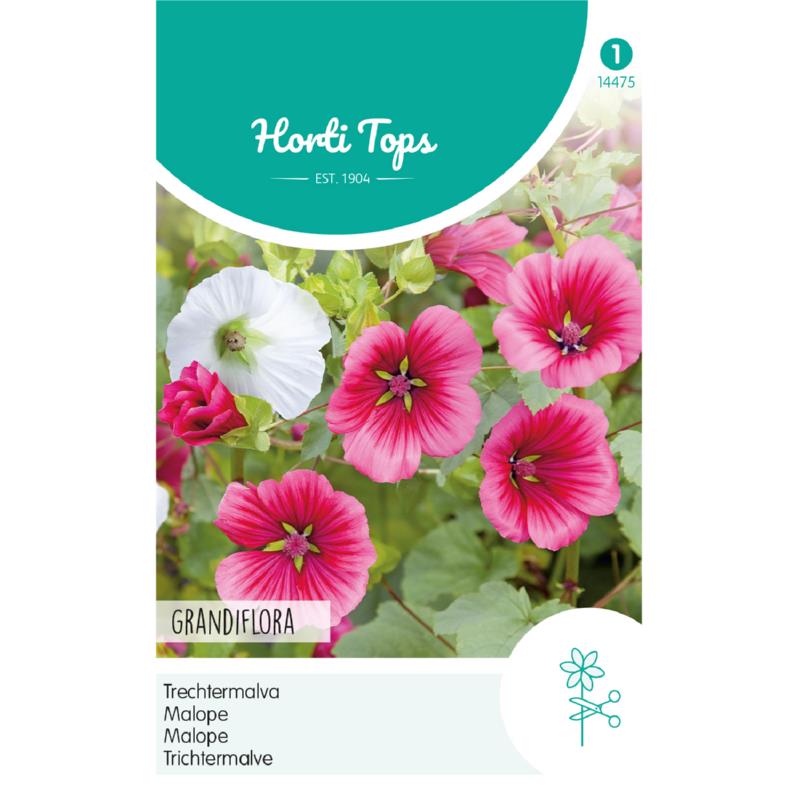 Horti Tops® Malope Trifida Grandiflora Mixed
