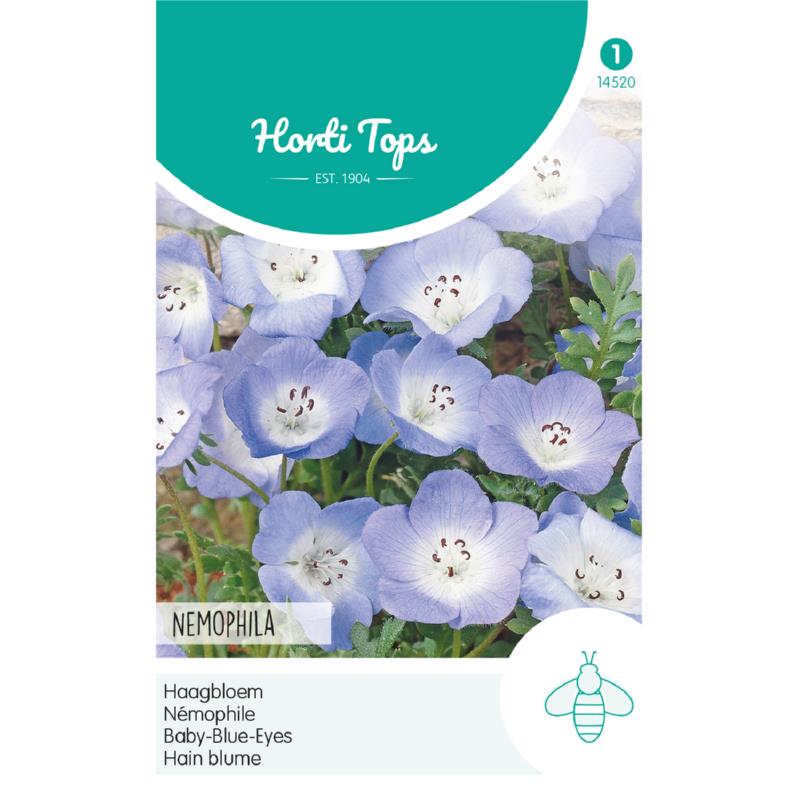 Horti Tops® Nemophila Insignis Sky-Blue