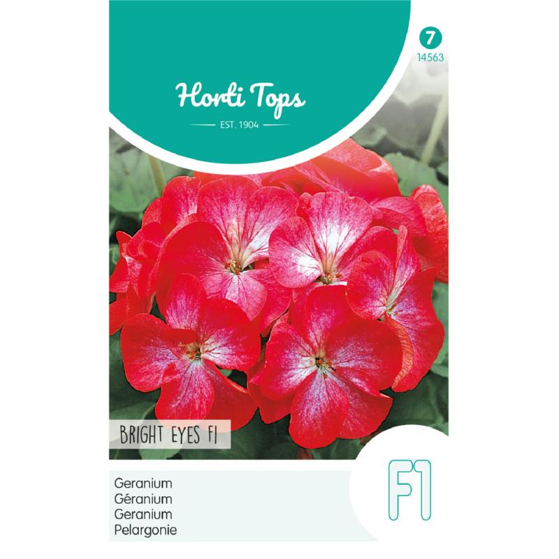 HT Pelargonium, Geranium Bright Eyes F1 rood/Wit