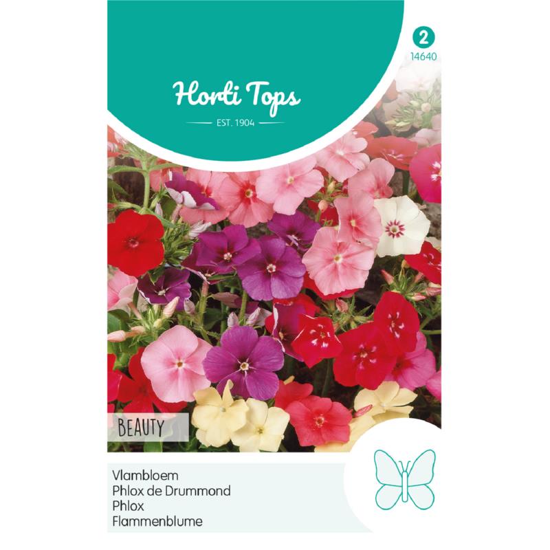 Horti Tops® Phlox Drum. Nana Compacta Beauty Mixed