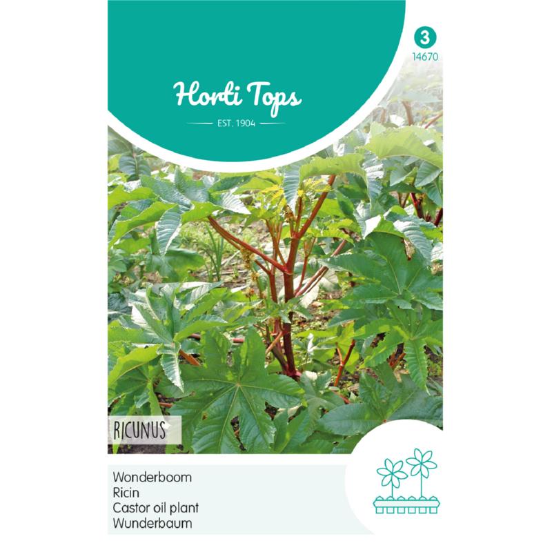 Horti Tops® Ricinus Communis Zanzibariensis