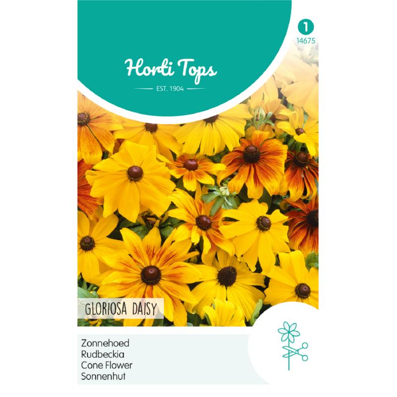 HT Rudbeckia, Zonnehoed Gloriosa Daisy gemengd