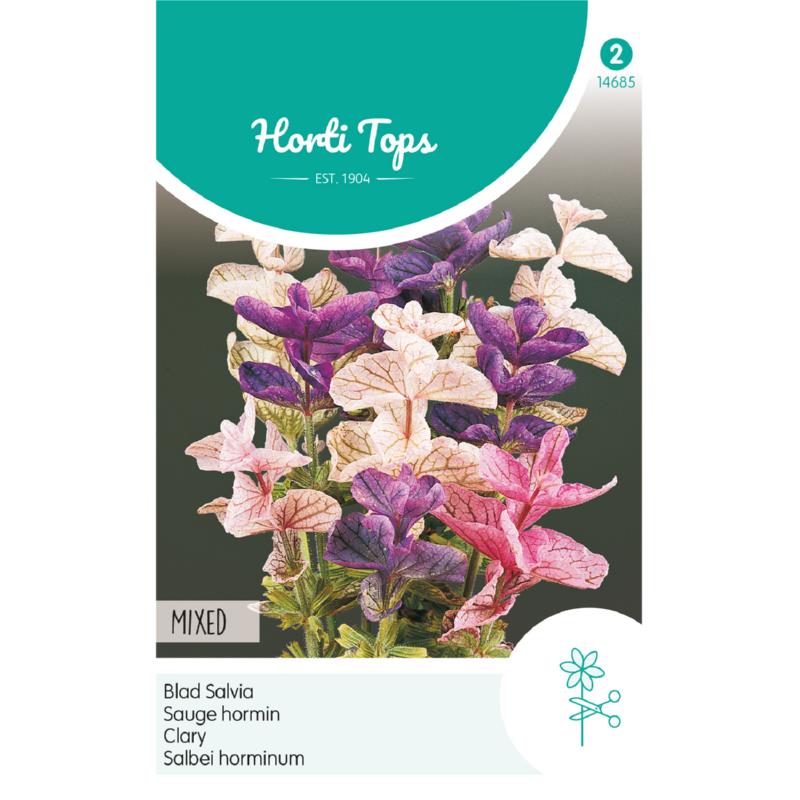 HT Salvia, Bladsalvia gemengd