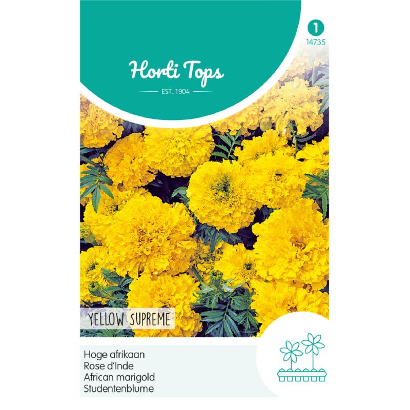 Horti Tops® Tagetes Erecta Tall Double Yellow Supreme