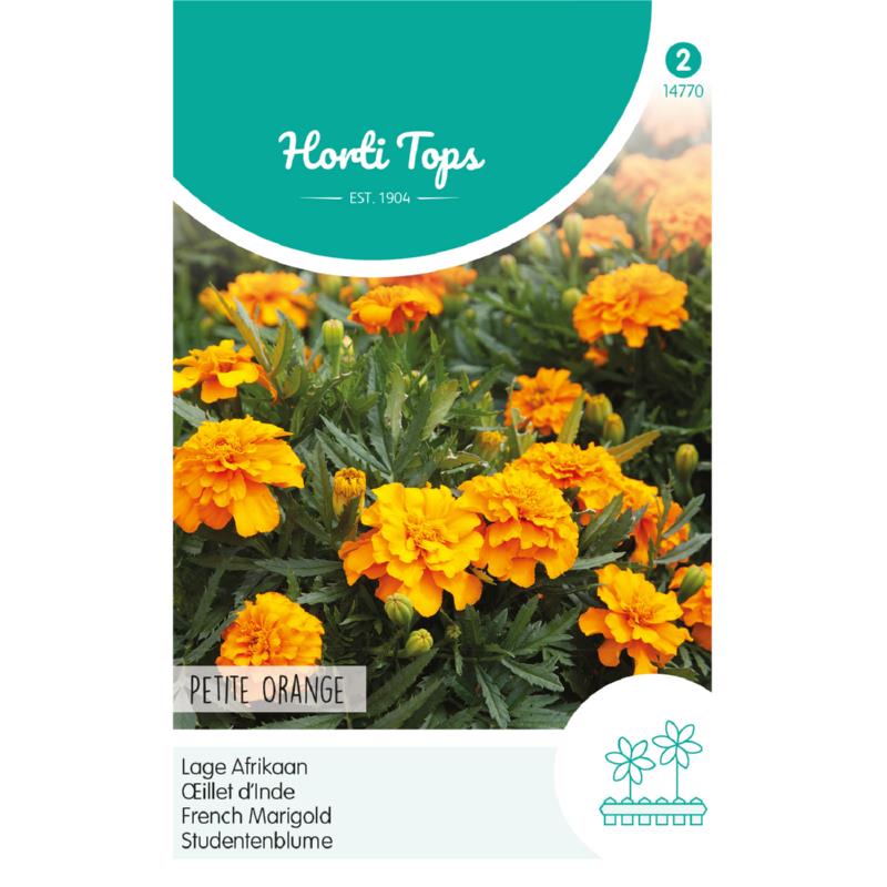 Horti Tops® Tagetes Patula Nana Petite Orange