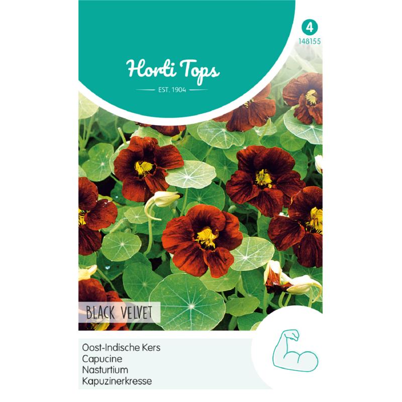 Horti Tops® Nasturtium Black Velvet
