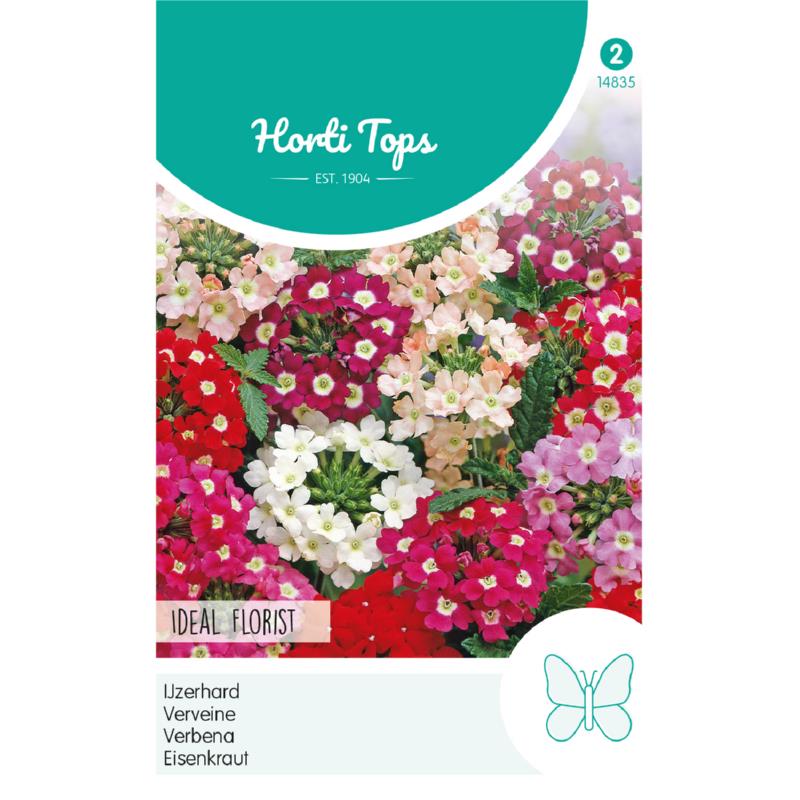 HT Verbena, IJzerhard Ideal Florist gemengd