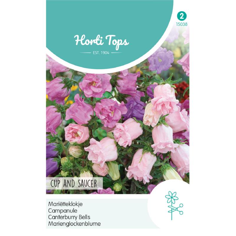 Horti Tops® Campanula Calyc. Cup en Saucer Mixed