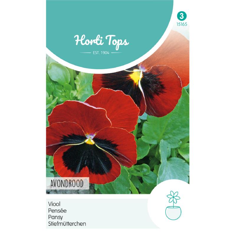 HT Viola, Viool Avondrood