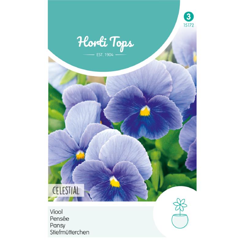 HT Viola, Viool Celestial