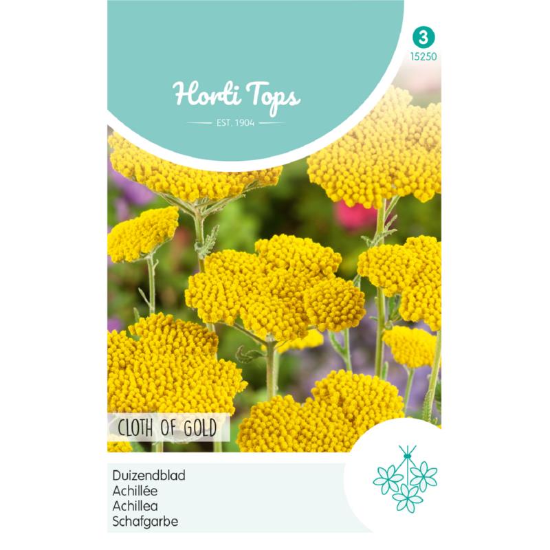 Horti Tops® Achillea Filipendula Cloth Of Gold