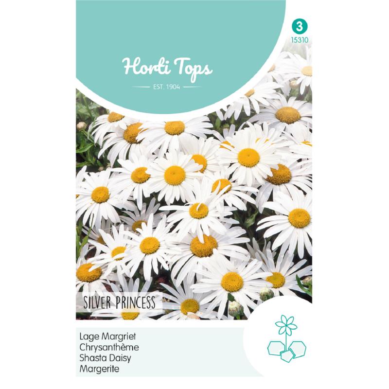 HT Chrysanthemum, lage Margriet Silver Princess