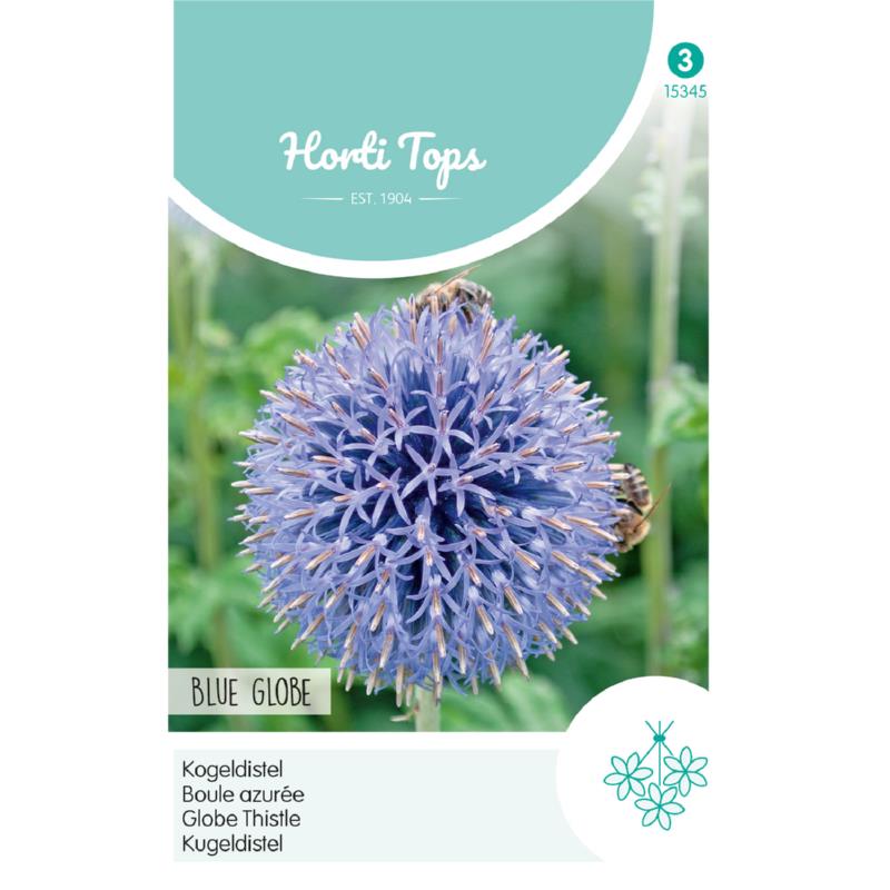 Horti Tops® Echinops Ritro / Blue Globe Thistle