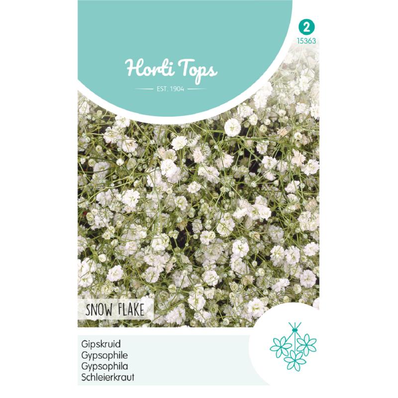 HT Gypsophila, Gipskruid Snow Flake dubbelbloemig wit
