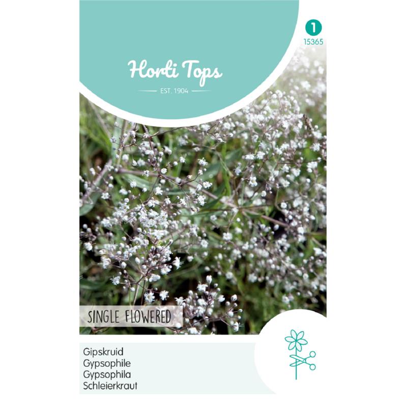 Horti Tops® Gypsophila Paniculata Single White