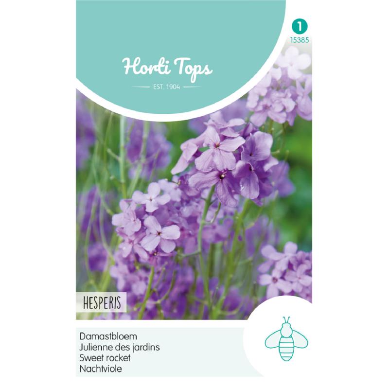 Horti Tops® Hesperis Matronalis Violet / Sweet Rocket
