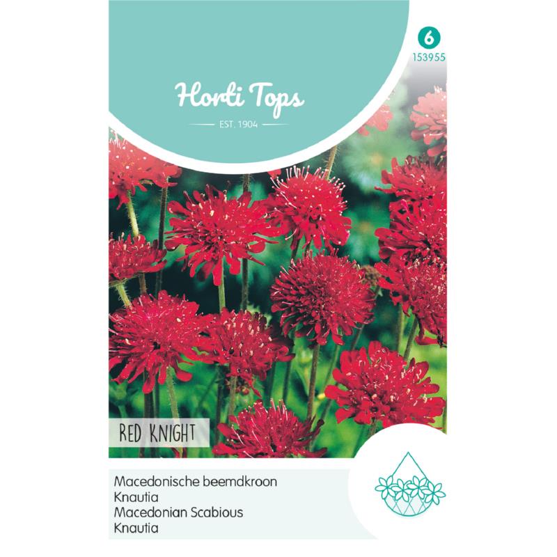 Horti Tops® Knautia macedonica Red Knight