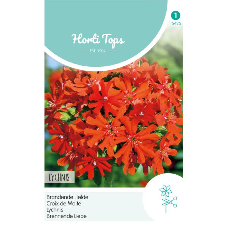 HT Lychnis, Brandende Liefde