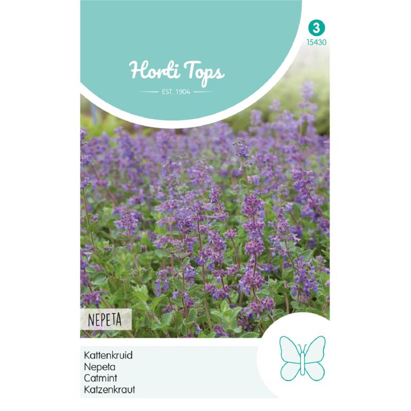 Horti Tops® Nepeta mussinii (Faassenii)