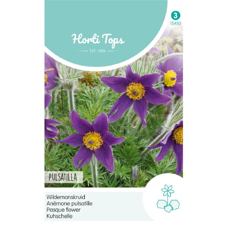 Horti Tops® Pulsatilla vulgaris Violet-Blue