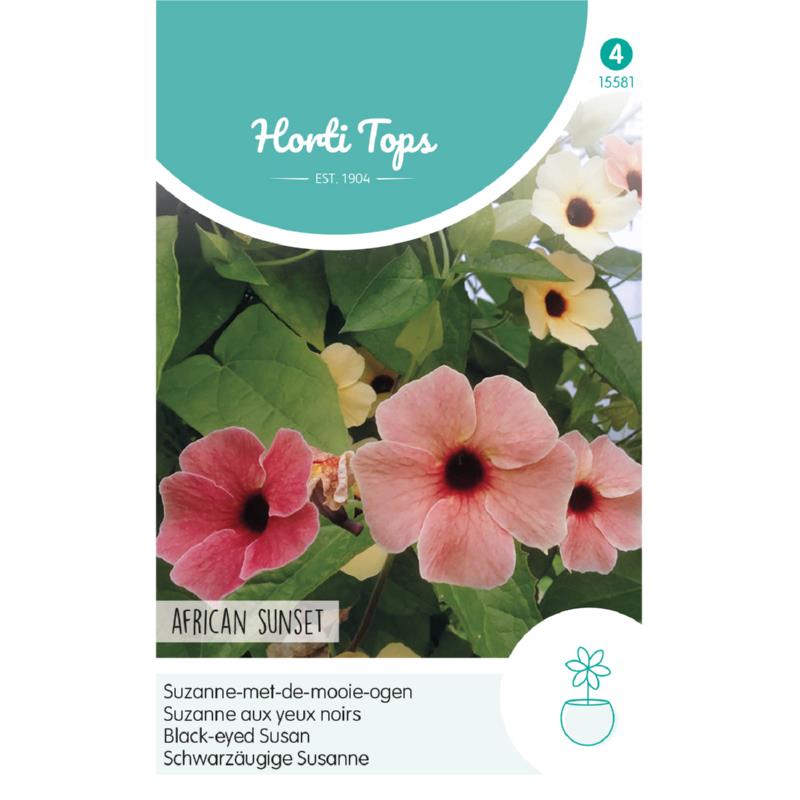 Horti Tops® Black-eyed Susan African Sunset