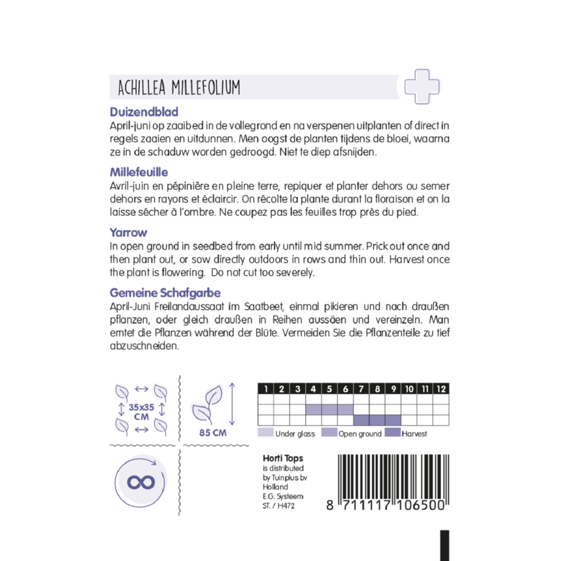Horti Tops® Yarrow - Achillea Millefolium