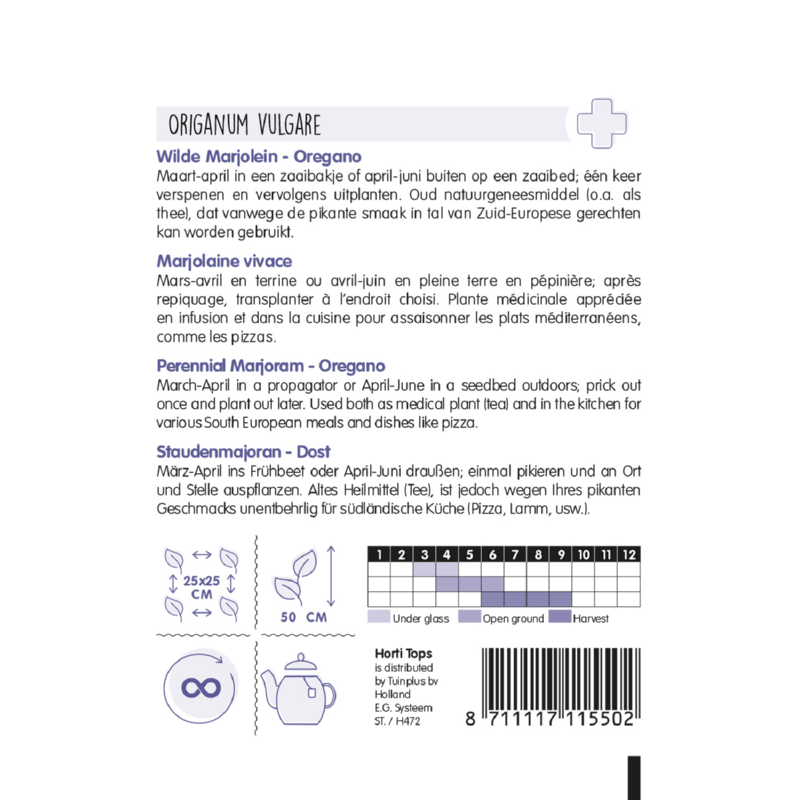 HT Marjolein - Oregano (rosebloeiend)