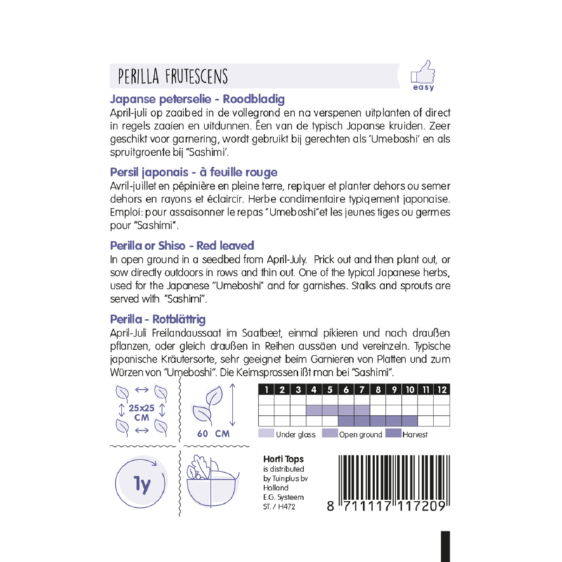 Horti Tops® Perilla or Shiso - Purple leaved