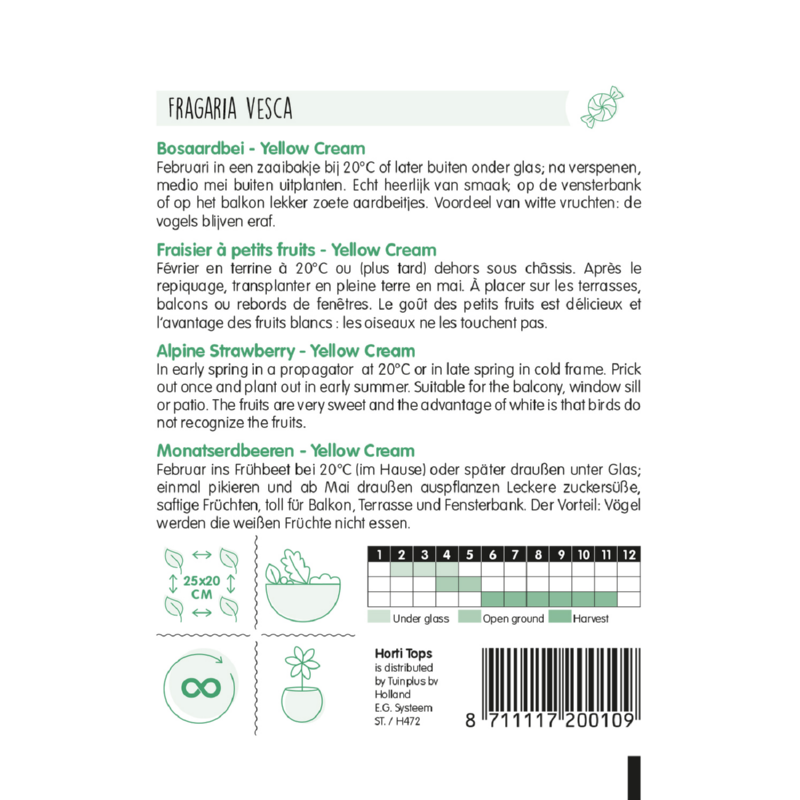 HT Bosaardbei - Yellow Cream