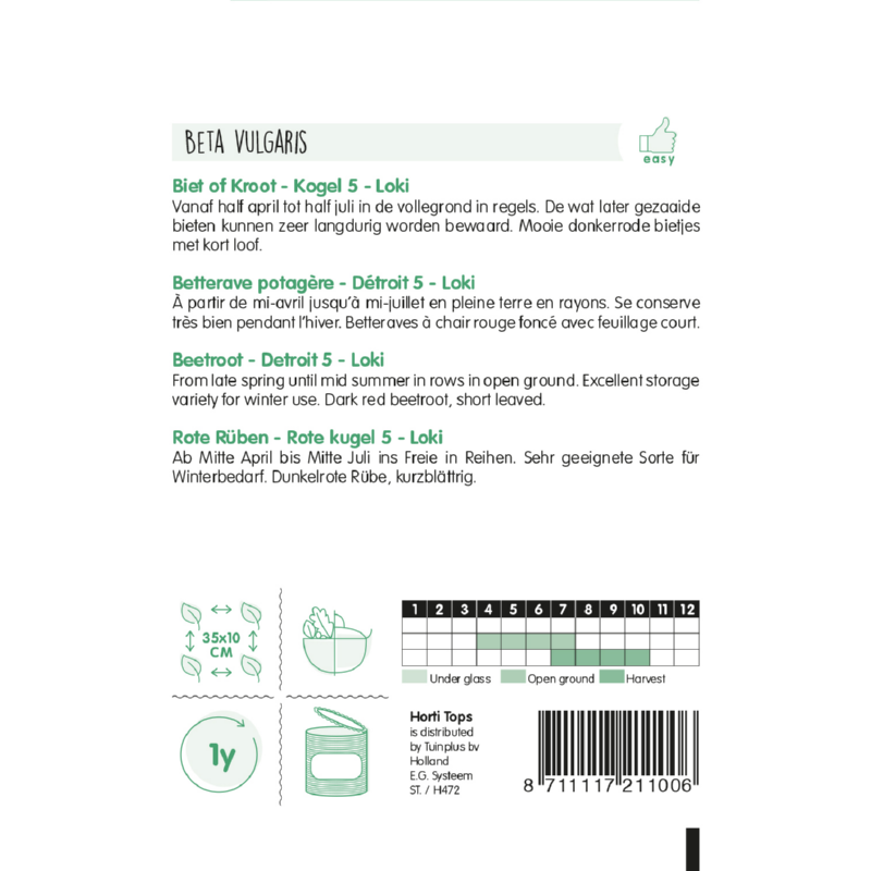 Horti Tops® Beetroot Detroit 5, Loki