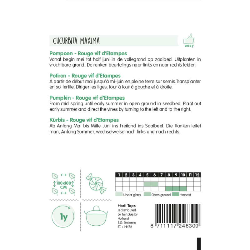 HT Pompoenen Rouge vif d' Etampes