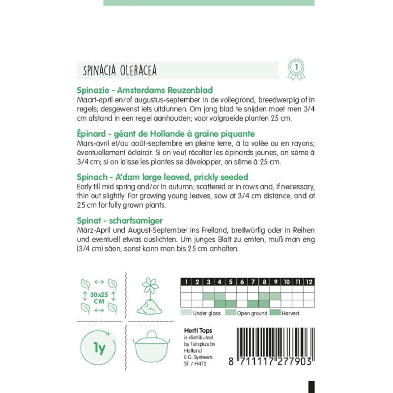 Horti Tops® Spinach Amsterdam, Prickly Seeded