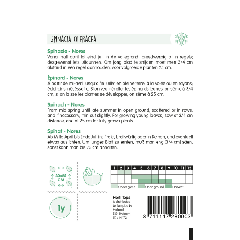 Horti Tops® Spinach Nores-Viking Slow Bolting