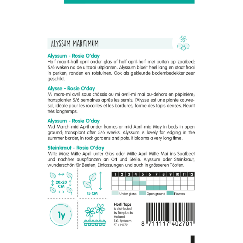 Horti Tops® Alyssum Rosie O'Day