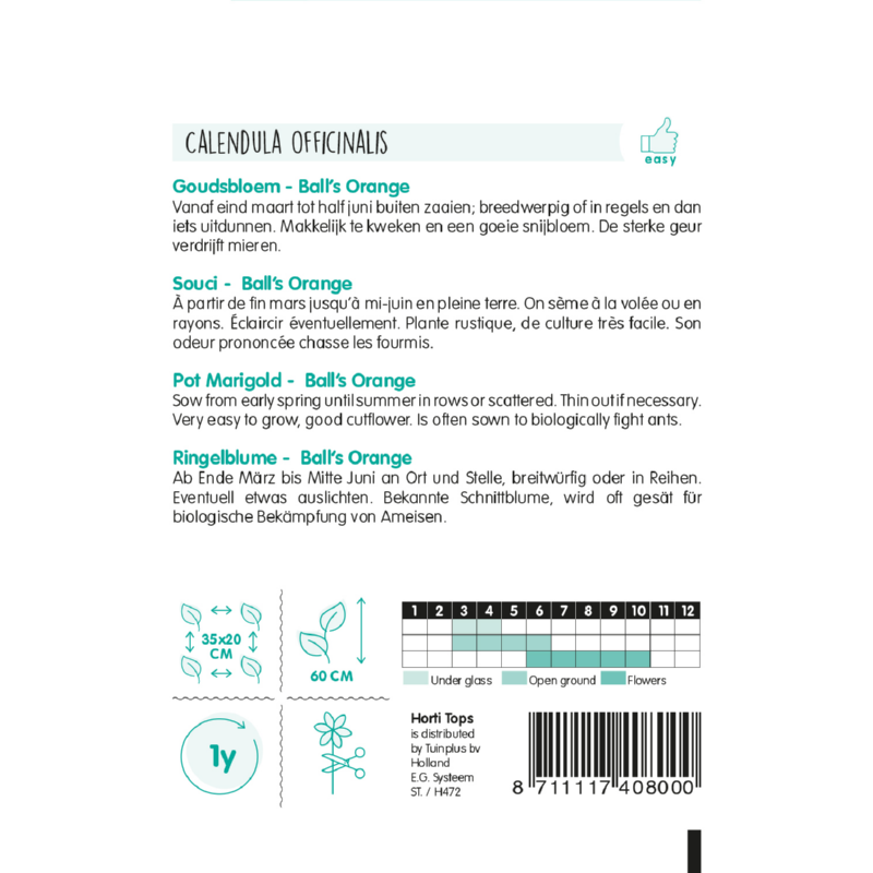 HT Calendula, Goudsbloem Ball's Oranje dubbelbloemig